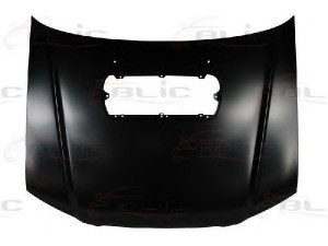 BLIC 6803-00-6736281P gaubtas 
 Kėbulas -> Transporto priemonės galas -> Gaubtas/dalys/garso izoliacinė medžiaga
57229SA0109P