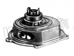 IPS Parts IPW-7435 vandens siurblys 
 Aušinimo sistema -> Vandens siurblys/tarpiklis -> Vandens siurblys
19200-P5T-G00, 19200P5TG01