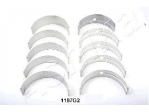 ASHIKA 86-1197G2 alkūninio veleno guolių rinkinys