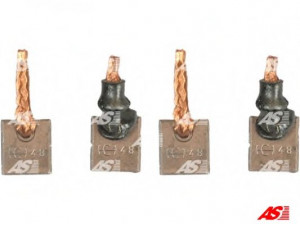 AS-PL JSX33-34 anglies šepetėlis, starteris