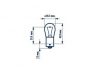NARVA 17643 lemputė, indikatorius; lemputė, stabdžių žibintas; lemputė, galinis rūko žibintas; lemputė, atbulinės eigos žibintas; lemputė, galinis žibintas; lemputė, indikatorius; lemputė, stabdžių žibintas; lemputė, galinis rūko žibintas; lemputė, atbulinės eigos ži 
 Elektros įranga -> Šviesos -> Indikatorius/dalys -> Lemputė, indikatorius