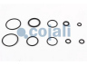 COJALI 6032128 remonto komplektas, sankabos stiprintuvas