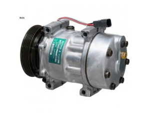 HOFFER K11221 kompresorius, oro kondicionierius 
 Oro kondicionavimas -> Kompresorius/dalys
5001858486, 5010483099