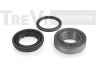 TREVI AUTOMOTIVE WB1467 rato guolio komplektas 
 Ašies montavimas/vairavimo mechanizmas/ratai -> Rato stebulė/montavimas -> Rato guolis
0K01126151