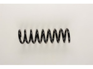 BILSTEIN 36-129638 spyruoklė 
 Pakaba -> Spyruoklės
202 321 15 04