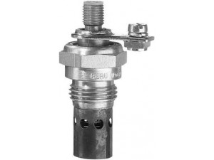 BERU GF166 kaitinimo žvakė