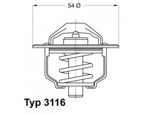 WAHLER 3116.89D termostatas, aušinimo skystis