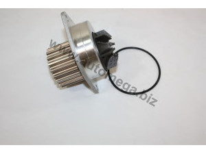 AUTOMEGA 301210011045J vandens siurblys 
 Aušinimo sistema -> Vandens siurblys/tarpiklis -> Vandens siurblys
045121011J, 045121011J, 045121011J