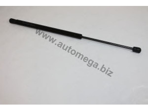 AUTOMEGA 30103210021 dujinė spyruoklė, bagažinė
1321021