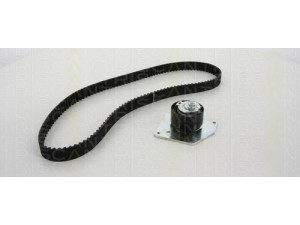 TRISCAN 8647 25039 paskirstymo diržo komplektas 
 Techninės priežiūros dalys -> Papildomas remontas
8201038625, 12760-80KA0