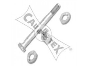 CAUTEX 180990 montavimo komplektas, valdymo svirtis 
 Ašies montavimas/vairavimo mechanizmas/ratai -> Valdymo svirtis/pasukamosios svirties sujungimas -> Vairo trauklės (valdymo svirtis, išilginis balansyras, diago
2103300018