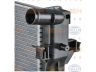 HELLA 8MK 376 781-411 radiatorius, variklio aušinimas
92145760