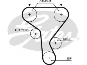 GATES 5573XS paskirstymo diržas 
 Techninės priežiūros dalys -> Papildomas remontas
16806-00QAD, 16806-00QAH, 7700110203