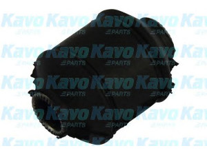 KAVO PARTS SCR-3025 valdymo svirties/išilginių svirčių įvorė 
 Ašies montavimas/vairavimo mechanizmas/ratai -> Valdymo svirtis/pasukamosios svirties sujungimas -> Montavimas/sutvirtinimas
5455521000, 5455521000, 5455521000