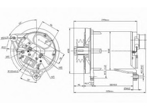 DELCO REMY 19025313 kintamosios srovės generatorius