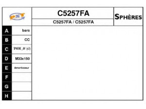 SNRA C5257FA pakabos sfera, pneumatinė pakaba 
 Pakaba -> Važiavimo aukščio kontrolė/hidraulinė pakaba
5271J1