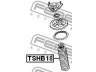 FEBEST TSHB18 apsauginis dangtelis/gofruotoji membrana, amortizatorius 
 Pakaba -> Amortizatorius
05105543AC, 54052-52Y10