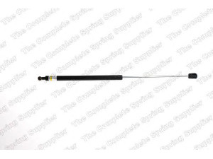 ROC GS0119 dujinė spyruoklė, gaubtas 
 Kėbulas -> Dujinės spyruoklės
95639144, 9563914480