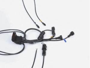 HALDEX 364338011 sujungimo laidas, ABS