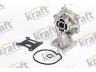 KRAFT AUTOMOTIVE 1502090 vandens siurblys 
 Aušinimo sistema -> Vandens siurblys/tarpiklis -> Vandens siurblys
1 116 996, 1 143 851, 1 347 102