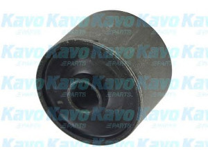 KAVO PARTS SCR-6514 valdymo svirties/išilginių svirčių įvorė 
 Ašies montavimas/vairavimo mechanizmas/ratai -> Valdymo svirtis/pasukamosios svirties sujungimas -> Montavimas/sutvirtinimas
5456001J00