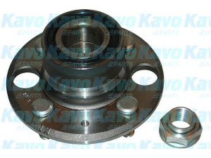 KAVO PARTS WBK-2007 rato guolio komplektas 
 Ašies montavimas/vairavimo mechanizmas/ratai -> Rato stebulė/montavimas -> Rato guolis
42200SR3A04, 90305692010