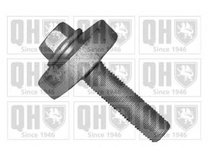 QUINTON HAZELL QTT1166B skriemulio varžtas 
 Variklis -> Alkūninio veleno pavara -> Alkūninis velenas -> Atramos poveržlės/atraminis guolis
82 00 367 922