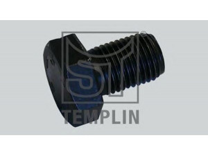 ST-TEMPLIN 18.050.1861.010 varžtas
000961 014127