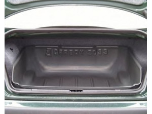 CARBOX 102033000 guminis indas, bagažinė / krovinių skyrius 
 Vidaus įranga -> Bagažinė