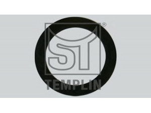 ST-TEMPLIN 07.020.7160.050 tarpiklis
0 285 202, 285 202
