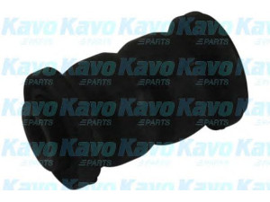 KAVO PARTS SCR-9047 valdymo svirties/išilginių svirčių įvorė 
 Ašies montavimas/vairavimo mechanizmas/ratai -> Valdymo svirtis/pasukamosios svirties sujungimas -> Montavimas/sutvirtinimas
4865412050