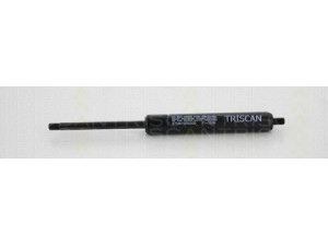 TRISCAN 8710 615159200 dujinė spyruoklė