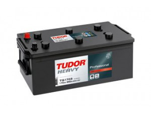 TUDOR TG1703 starterio akumuliatorius; starterio akumuliatorius 
 Elektros įranga -> Akumuliatorius
2994682, 504184318, 98496273