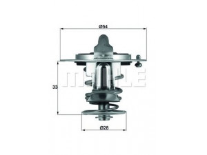 MAHLE ORIGINAL TX 72 85D termostatas, aušinimo skystis 
 Aušinimo sistema -> Termostatas/tarpiklis -> Thermostat
2550027000, 2550027000
