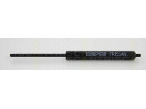 TRISCAN 8710 615201350 dujinė spyruoklė