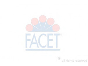 FACET 9.6489 ritė, uždegimas 
 Kibirkšties / kaitinamasis uždegimas -> Uždegimo ritė
27301 02700, 27301 02710