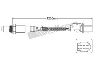 WALKER PRODUCTS 800-95006 lambda jutiklis 
 Išmetimo sistema -> Jutiklis/zondas
059 906 262 E, 07Z906262G