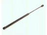dujinė spyruoklė, bagažinė