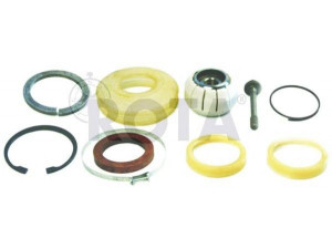 ROTA 2057460 remonto komplektas, trauklė; remonto komplektas, centrinio sujungimo A rėmo svirtis
81432706047, 0003500105, 21032583