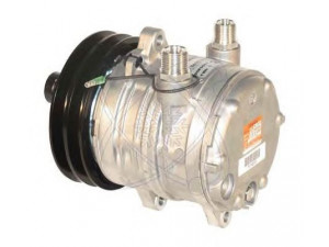 ELECTRO AUTO 20F0017 kompresorius, oro kondicionierius