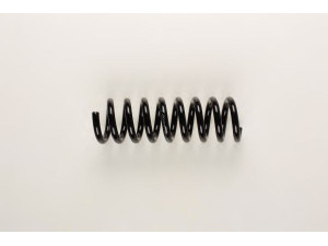 BILSTEIN 36-163793 spyruoklė 
 Pakaba -> Spyruoklės
210 324 38 04