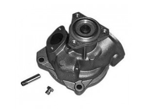 MAGNETI MARELLI 352316171187 vandens siurblys
025121010B, 025121010BV, 025121010BX