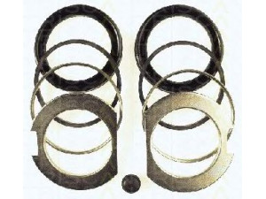 TRISCAN 8170 205709 remonto komplektas, stabdžių apkaba