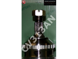 SHAFTEC CV313AN jungtis, kardaninis velenas 
 Ratų pavara -> Sujungimai/komplektas