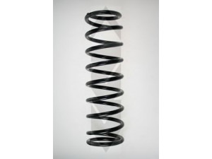 SPIDAN 49290 spyruoklė 
 Pakaba -> Spyruoklės
GRS405, RKB100251EVA