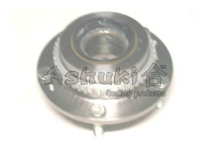 ASHUKI I900-01 rato guolio komplektas
50300-3E200, 50300-3E400