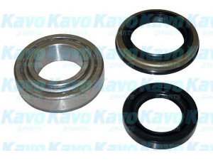 KAVO PARTS WBK-3006 rato guolio komplektas 
 Ašies montavimas/vairavimo mechanizmas/ratai -> Rato stebulė/montavimas -> Rato guolis
5270143300, 5281043000, 5282043300