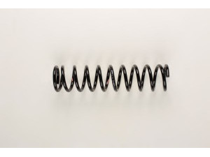 BILSTEIN 36-163342 spyruoklė 
 Pakaba -> Spyruoklės
2210 2 934
