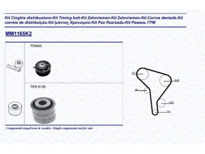 MAGNETI MARELLI 341311651102 paskirstymo diržo komplektas 
 Techninės priežiūros dalys -> Papildomas remontas