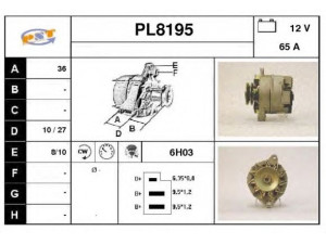 SNRA PL8195 kintamosios srovės generatorius
6005003144